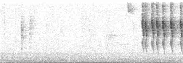 Eurasian Wren - ML135605021