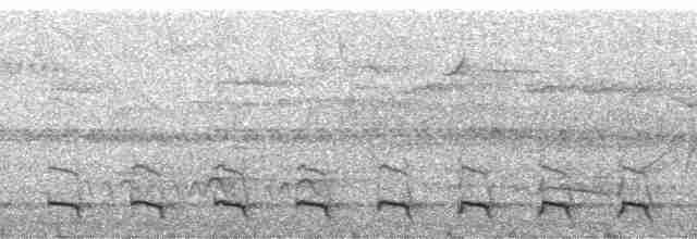 Surukua Trogonu (surrucura) - ML135611