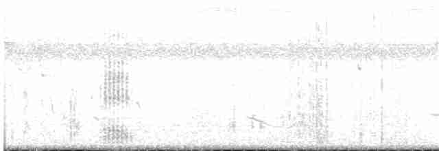 Белокрылая цапля - ML135662131