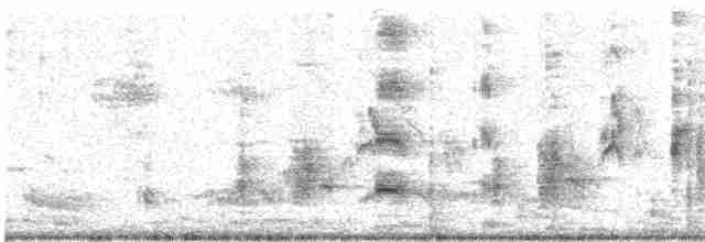 Clamorous Reed Warbler - ML135676281