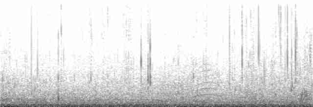 黑尾鷗 - ML135687271