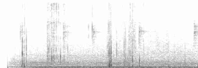 Yellow-rumped Warbler (Myrtle) - ML135717601