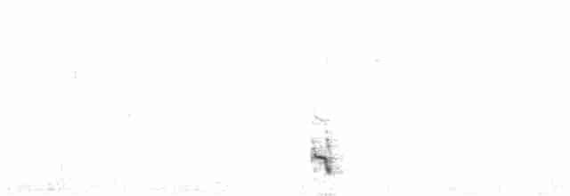 Dot-winged Crake - ML135751831