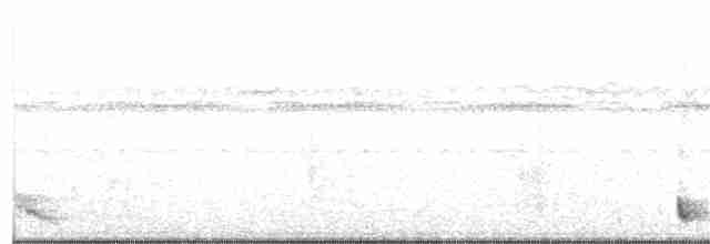 Rufous Nightjar - ML135752131