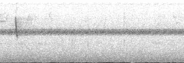 Белокрылая пиранга - ML135781