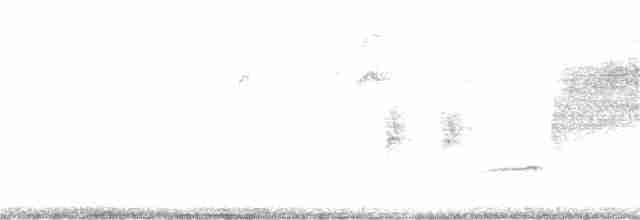 Bewick Çıtkuşu - ML135807851