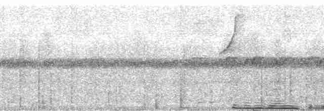 White-necked Thrush (Gray-flanked) - ML13581