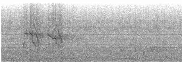 hvitbuklarveeter - ML135816161