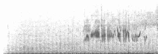 Eastern Black-eared Wheatear - ML135841801