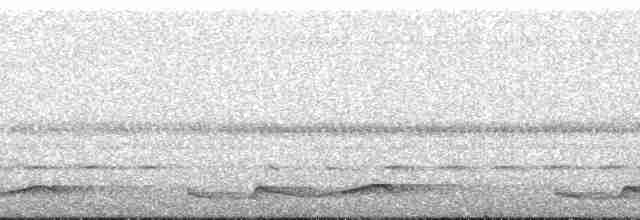 Silky-tailed Nightjar - ML135860