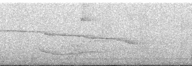 datel mravenčí (ssp. melanochloros/nattereri) - ML135872