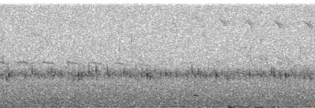 Танагра-короткодзьоб маскова - ML135904