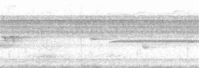Beyaz Yakalı Kolibri - ML135915111