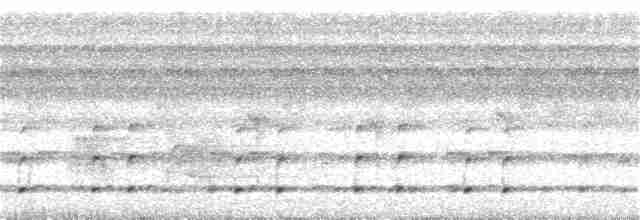 Colibri corinne - ML135928281