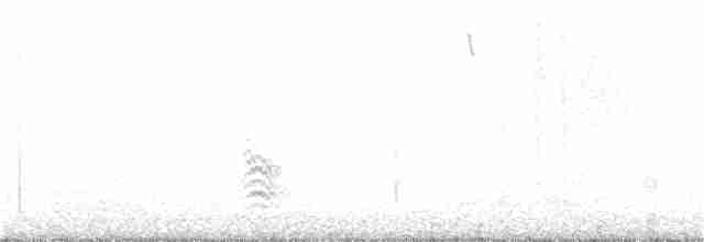 Weißbrustkleiber - ML135937851