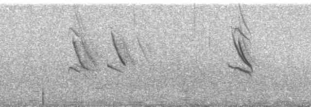 Hirondelle à longs brins - ML135950