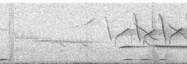 Eurasian Hoopoe (African) - ML135981