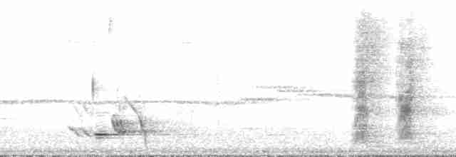Yeşil-Mor Balkuşu - ML136002