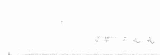 Rußkrähenstar - ML136012311