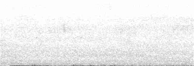 Окулярник сивоспинний - ML136032461
