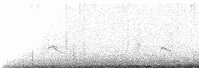 Long-billed Plover - ML136036581