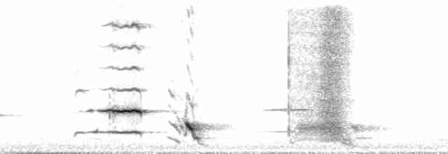 Méliphage carillonneur - ML136045