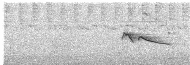 Plumbeous Kite - ML136051121