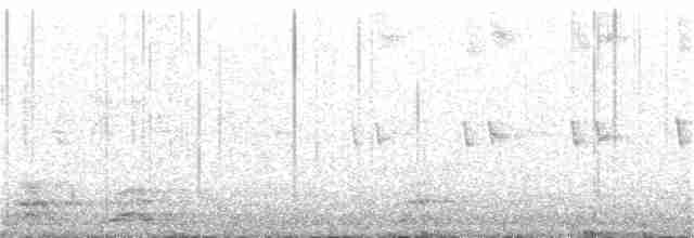 Белоухий колибри - ML136053971