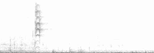 Neuseeland-Fächerschwanz - ML136056