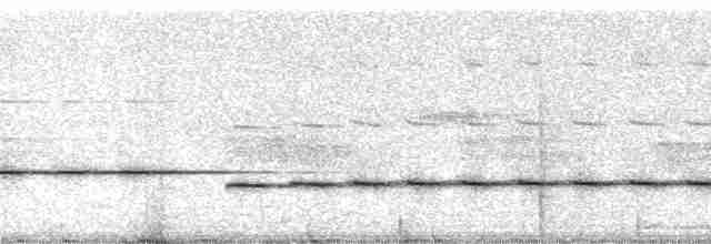 Шпалюшок амазонійський [група marginatus] - ML13607