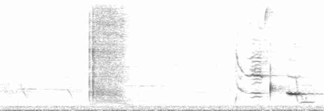 Méliphage carillonneur - ML136088