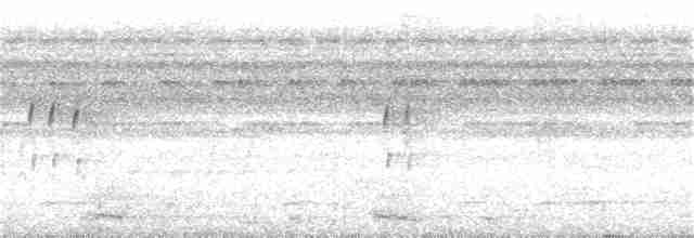 Uzun Gagalı Yıldızlıgerdan - ML136089431