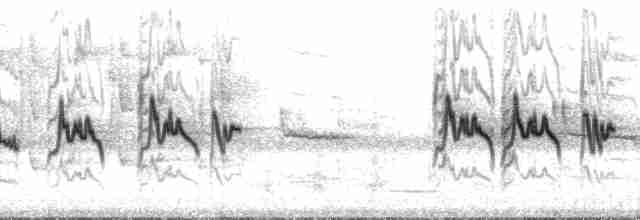 Graumantel-Brillenvogel - ML136092
