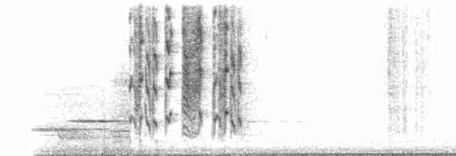 Новозеландская веерохвостка - ML136103