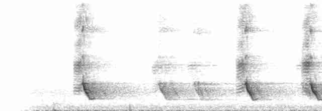 Méliphage carillonneur - ML136106