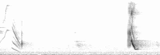 Yeşil-Mor Balkuşu - ML136111
