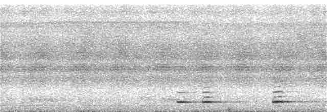 Ошейниковый сычик - ML136112821