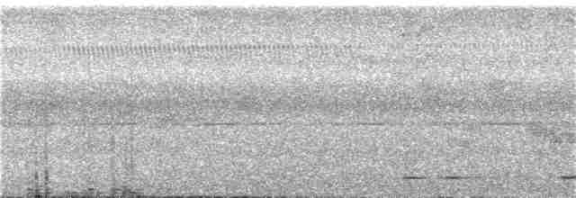Ошейниковый сычик - ML136112881