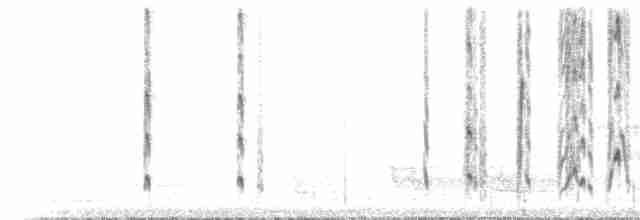 Новозеландская веерохвостка - ML136116