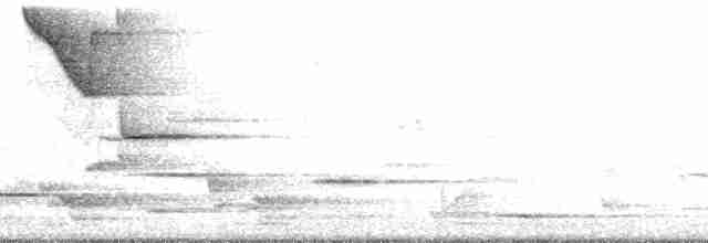 Stichvogel - ML136128