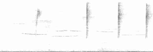 lesňáček černobílý - ML136151