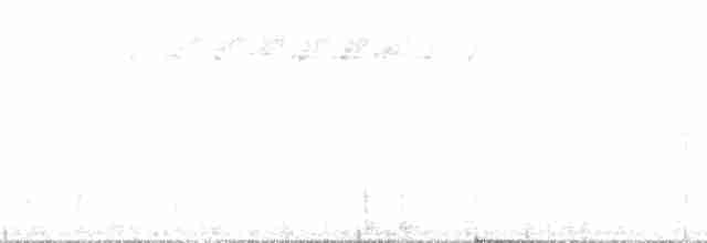 Blackpoll Warbler - ML136160