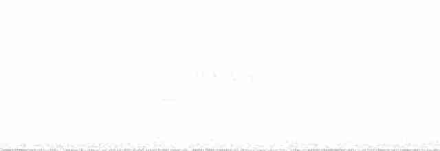Bruant fauve (iliaca/zaboria) - ML136175