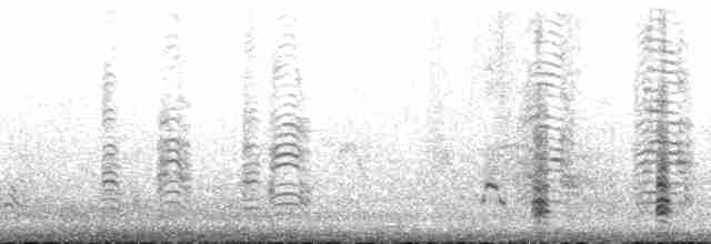 Бурая олуша (leucogaster) - ML136212