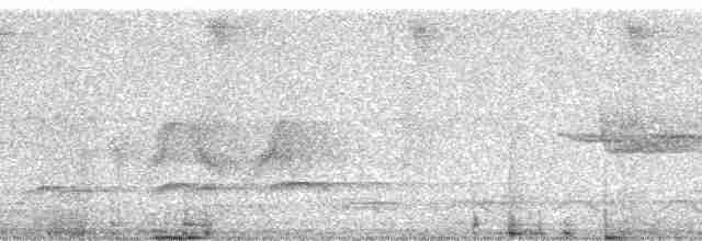 Черношапочный бекард - ML13622