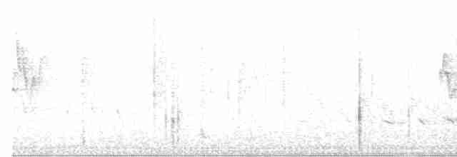 White-rumped Shama - ML136228531