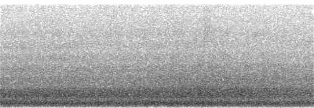 kulík černohlavý - ML136240761