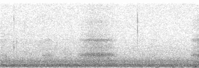 Little Tern - ML136240781