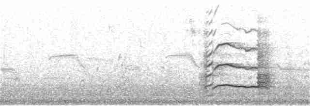 Какатоїс жовтохвостий - ML136240851
