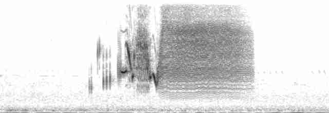 Приморская овсянка-барсучок - ML136241